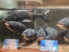 -上名堂·鱼头好吃(体育场路店)