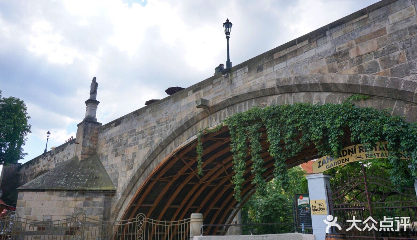 三两只洁白和平鸽悠哉地觅食