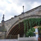 三两只洁白和平鸽悠哉地觅食