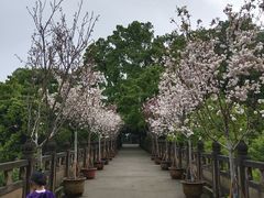 -南山植物园