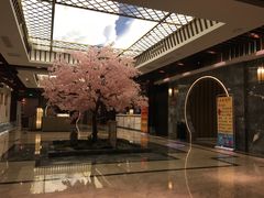 -添赐温泉馆(上南路店)