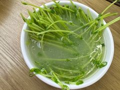 -庚娃子生滚牛肉粉(人和店)