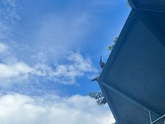 -西双版纳原始森林公园