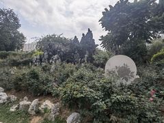 -人民公园(罗湖区)