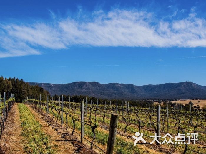 猎人谷红酒品尝之旅图片 - 第2张