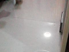 -宠宠动物医院(金鸡岭街店)