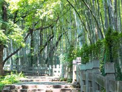 -虞山风景区