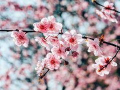 -堤角公园