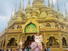 -西双版纳勐泐文化旅游区