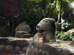 -中家鑫园温泉酒店鑫悦汤泉