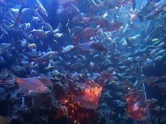 -成都浩海立方海洋公园