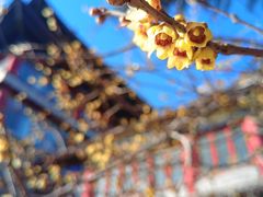 -大明幻境第一城