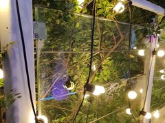 -CIAO·团建聚餐·生日派对轰趴馆(福田店)