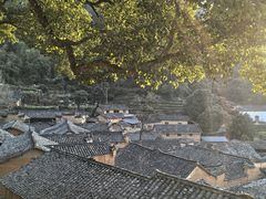 -杨家堂村