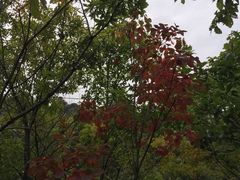 -西泰山风景区