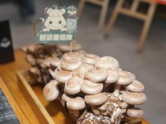 -椰子营·椰子鸡火锅(万象里店)