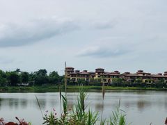 -美的鹭湖森林度假区