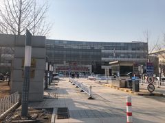 -首都医科大学附属北京地坛医院