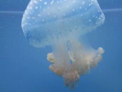 -常州海昌海洋探索馆