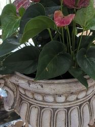 -武汉五洲整形外科医院