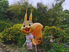 -成都松鼠部落