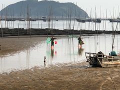 -小皓村