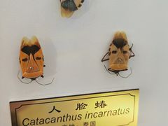-上海昆虫博物馆