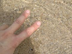 -西涌国际滨海旅游区