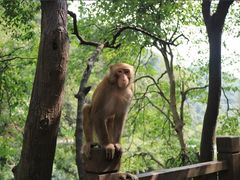 -黔灵山公园-南门售票处