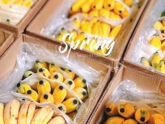 -菜园坝水果市场