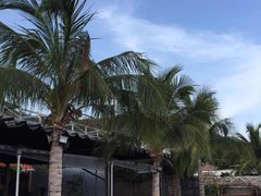 -越海渔村