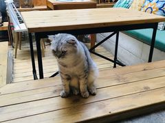 -拾壹cafe·工作室