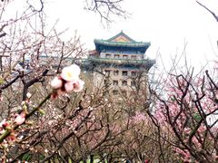 -北京明城墙遗址公园