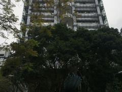 -香港大学
