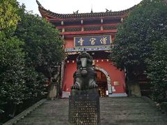 -铁山坪森林公园