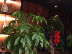 -臻享养生·SPA·影院式足道(汇臻店)