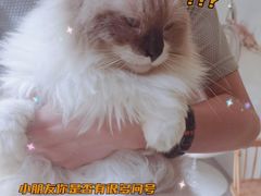 -灯塔咖啡馆BOOK·Coffee Shop