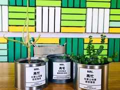 -Green Option(官舍店)
