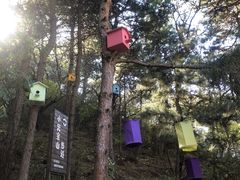 -云峰山自然风景区