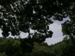 -延安杨家岭革命旧址