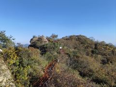 -大岭沟猕猴桃谷风景区