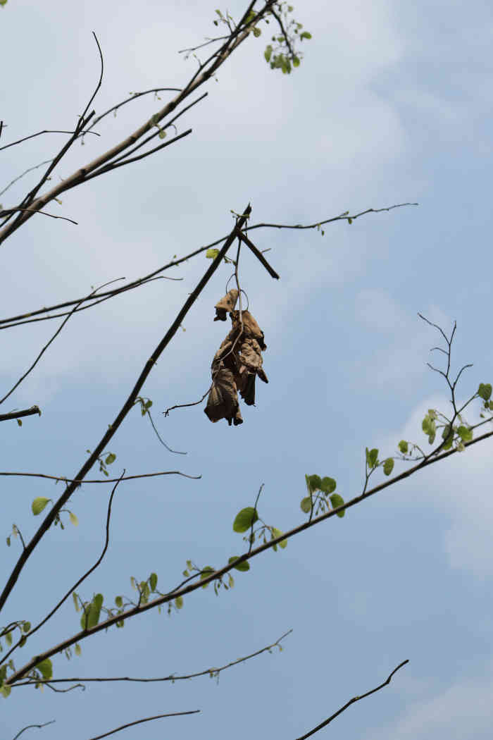 彭加木公园-"公园就在小区附近,有时会出来散步!公园不.