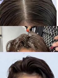 点击看大图 -IP SALON