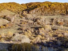 -塞罕坝国家级自然保护区