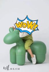 -西瓜庄园儿童摄影