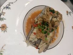 -蝶园·装修中(BFC外滩金融中心店)