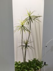 点击看大图 -VE小颜皮肤管理&科学美肤中心