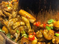 -老佛爷蛙锅•鲜蛙煲(麦凯乐店)