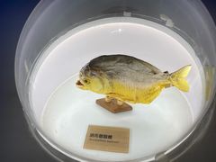 -陕西自然博物馆