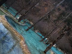 -黄龙山原始森林景区